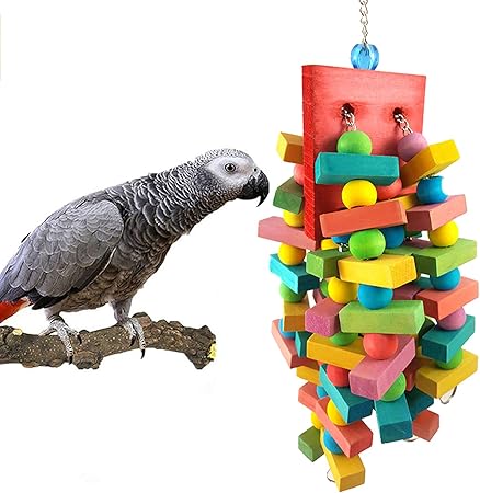 african grey toys and accessories