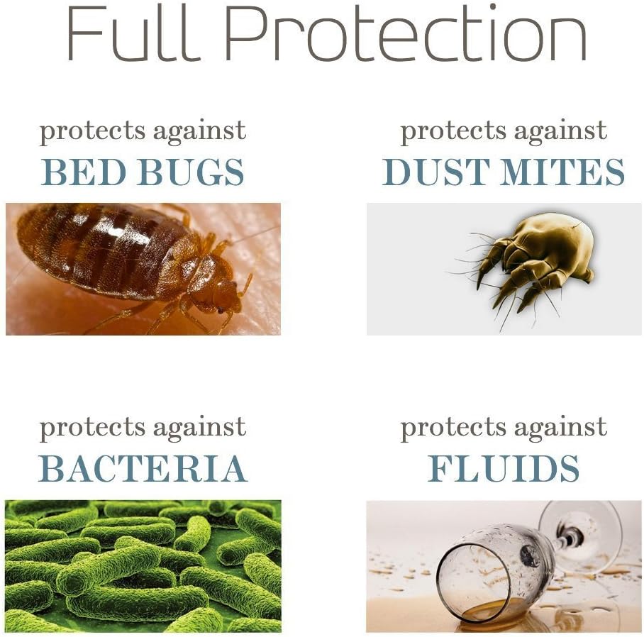 SafeRest Premium Hypoallergenic Bed Bug Proof Zippered Waterproof Pillow Protector (1) Standard Size: Kitchen & Dining