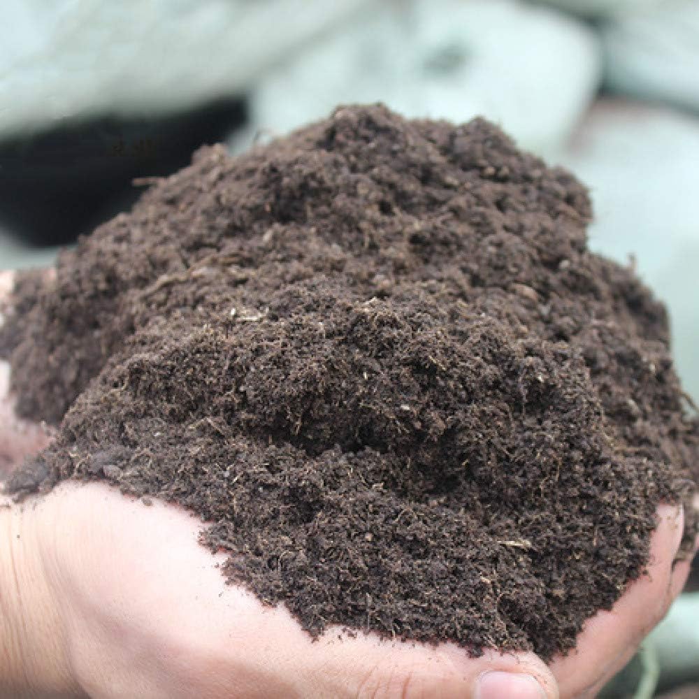 Yyzhx Tierra de nutrientes Carbón de hierba Hierba de turba ...