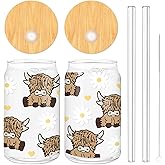 Whaline 2Pcs Highland Cow Iced Coffee Cup Brown Cow Daisy Heart Drinking Glasses 16oz Cute Glass Cup with Lids and Straw for Cocktails Whiskey Beer Soda Gifts