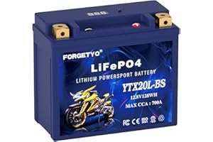 Forgetyo Lithium YTX20L-BS, 700A LiFePO4 Motorcycle Battery, 12V 10AH ATV, UTV, Jet Ski, 4 Wheeler, Snowmobile, Personal Watercraft, Seadoo, Polaris, Tractor,Generator and Riding Lawn Mower Battery