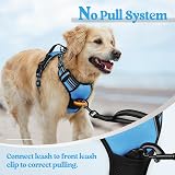rabbitgoo Dog Harness Medium No Pull Reflective Adjustable Vest Blue M view 6