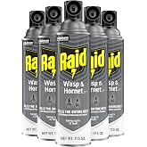 Raid Wasp &amp; Hornet Killer Spray Kills the Entire Nest Sprays up to 22 Feet Kills on Contact 17.5 Ounce (Pack of 5)
