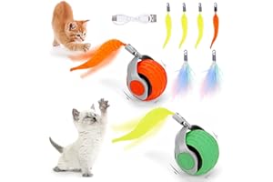 Eisfiel 2PCS Cat Toy Turbo Tail 2025 New Upgraded 300 mAh Pet Smart Chase Ball 3.0 Interactive Cats Toy for Indoor Cats Smart Cat Ball Toy with 6 Replacement Tail (Orange&Green)