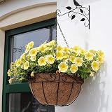 FunPlay Hxeilzge 2 Packs Plant Hanger Brackets 12 Inch Iron Wall Hooks view 7