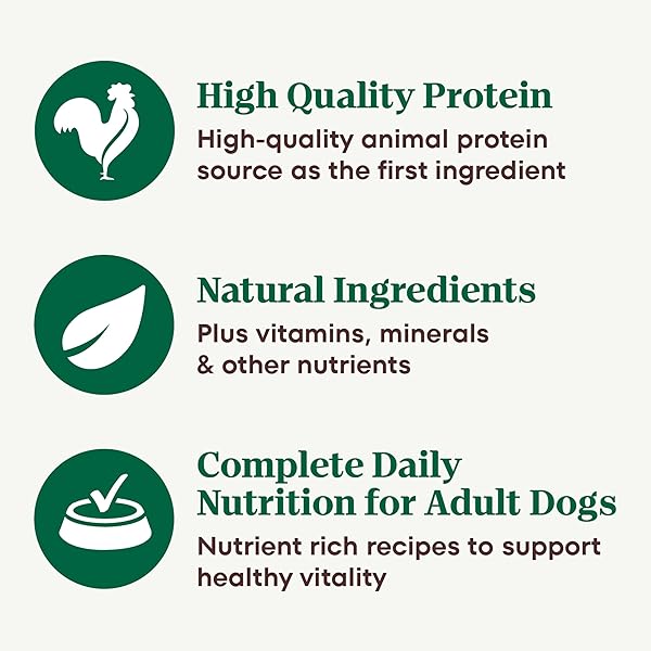 NUTRO ADULT WET DOG FOOD, NATURAL GRAIN FREE DOG FOOD WET CUTS IN GRAVY SAVORY LAMB & VEGETABLES STEW RECIPE, 3.5 OZ. TRAYS (PACK OF 24)