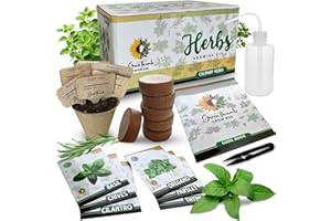 GREEN THUMB GROW BOX Herb Garden Kit Indoor, Non-GMO Herb Seeds, Native Planting Soil, Gardening Gifts for Women and Men, Complete 6 Herb Starter Kit, Kitchen Window Herb Garden, DIY Grow Plants at Home, Herb Growing Kit