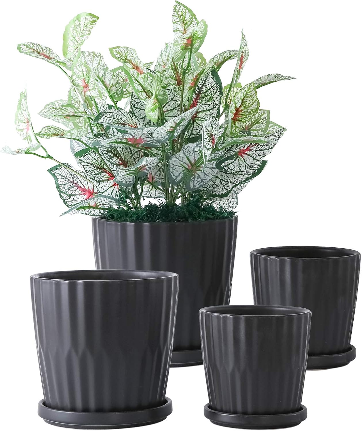YISHANG Ceramic Planter Pot with Drainage