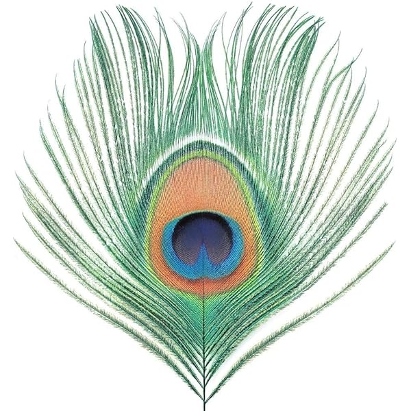 XTC - Nonsuch - Amazon.com Music