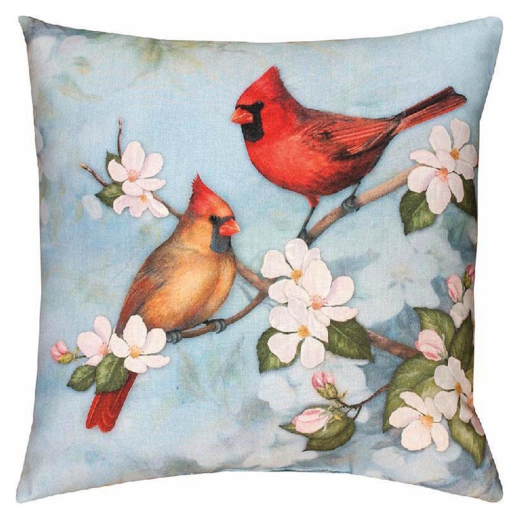 Amazon Com Kensingtonrow Home Collection Pillows Cardinal