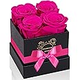 UFOREVER ROSES Preserved Roses in a Box Mothers Day Valentines Day Gifts for Her, Real Roses That Last a Year and More, Christmas Day, Birthday, Anniversary Day (Small, Radiant Pink)