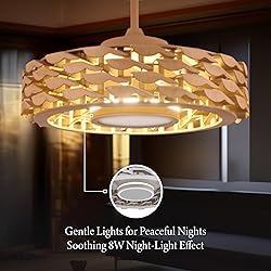 Todays Fans Bladeless Ceiling Fan with Lights