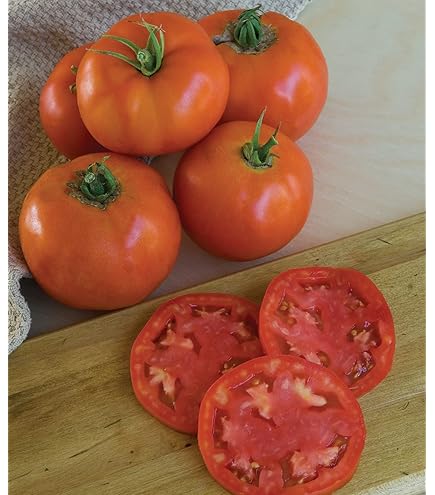 Amazon.com : Patio F1 Hybrid Tomato Seeds - Very Compact