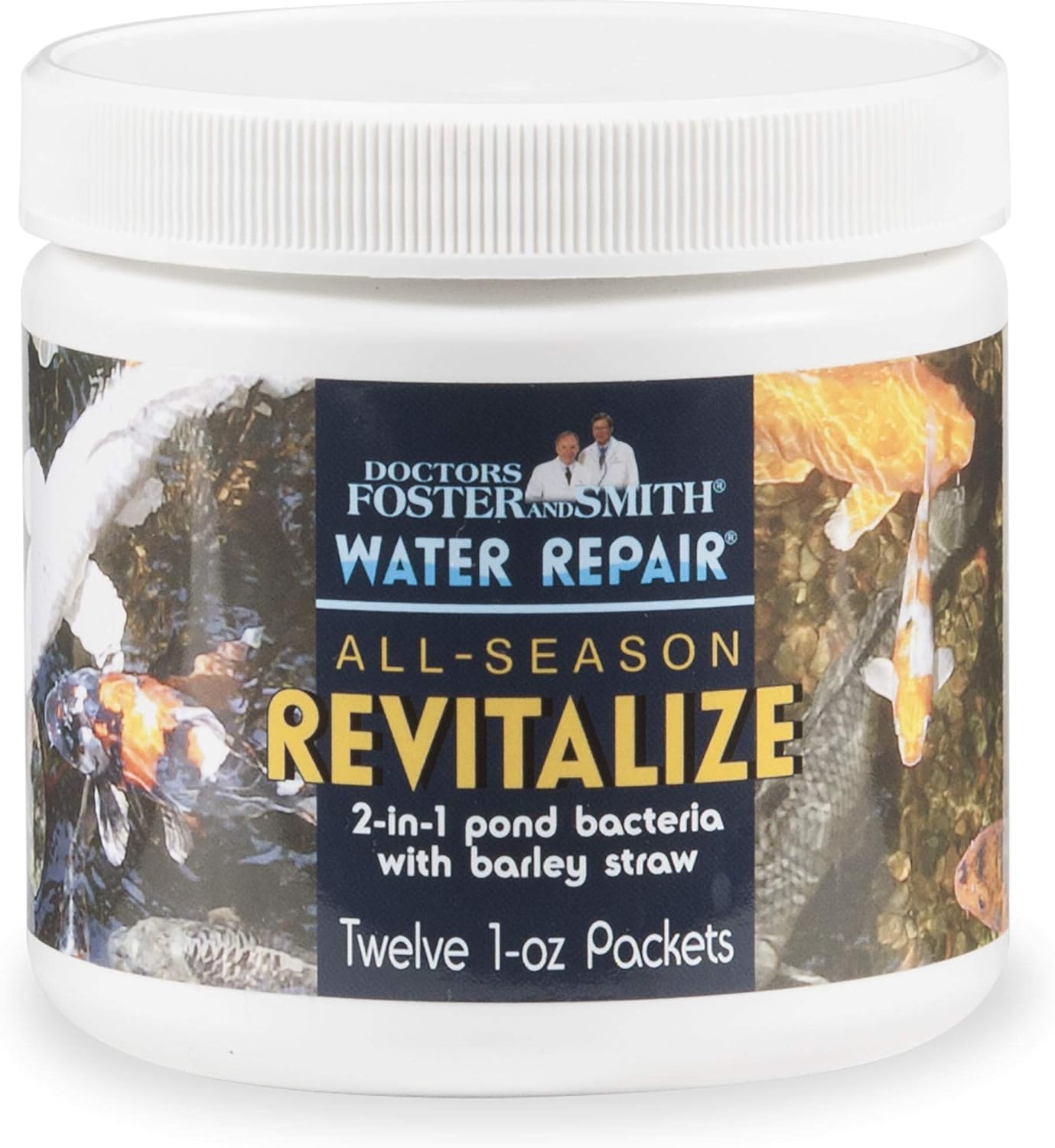 mini shiba inu full grown