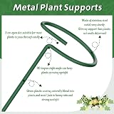 Hanotic 6Pcs Plant Support Stakes 30/60/90cm with Rings Clips Twistties view 3