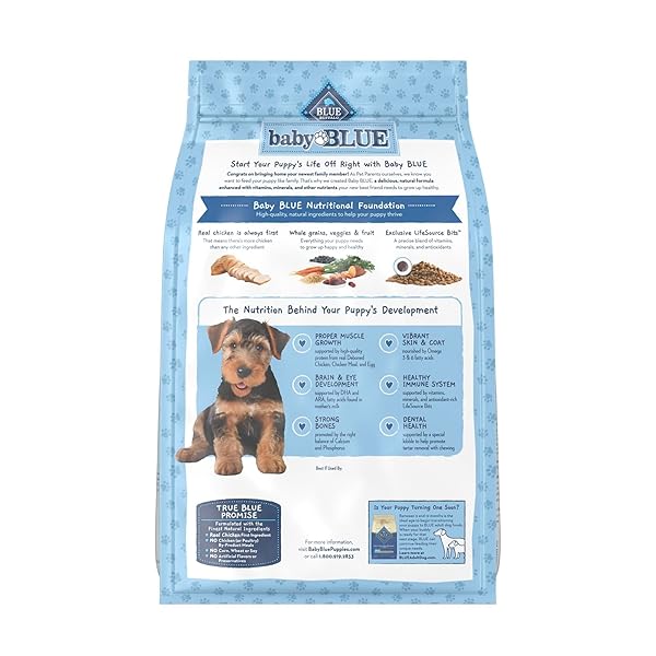 BLUE BUFFALO BABY BLUE NATURAL DRY FOOD FOR PUPPIES, HEALTHY GROWTH FORMULA WITH DHA, SAVORY CHICKEN RECIPE, 4-LB. BAG