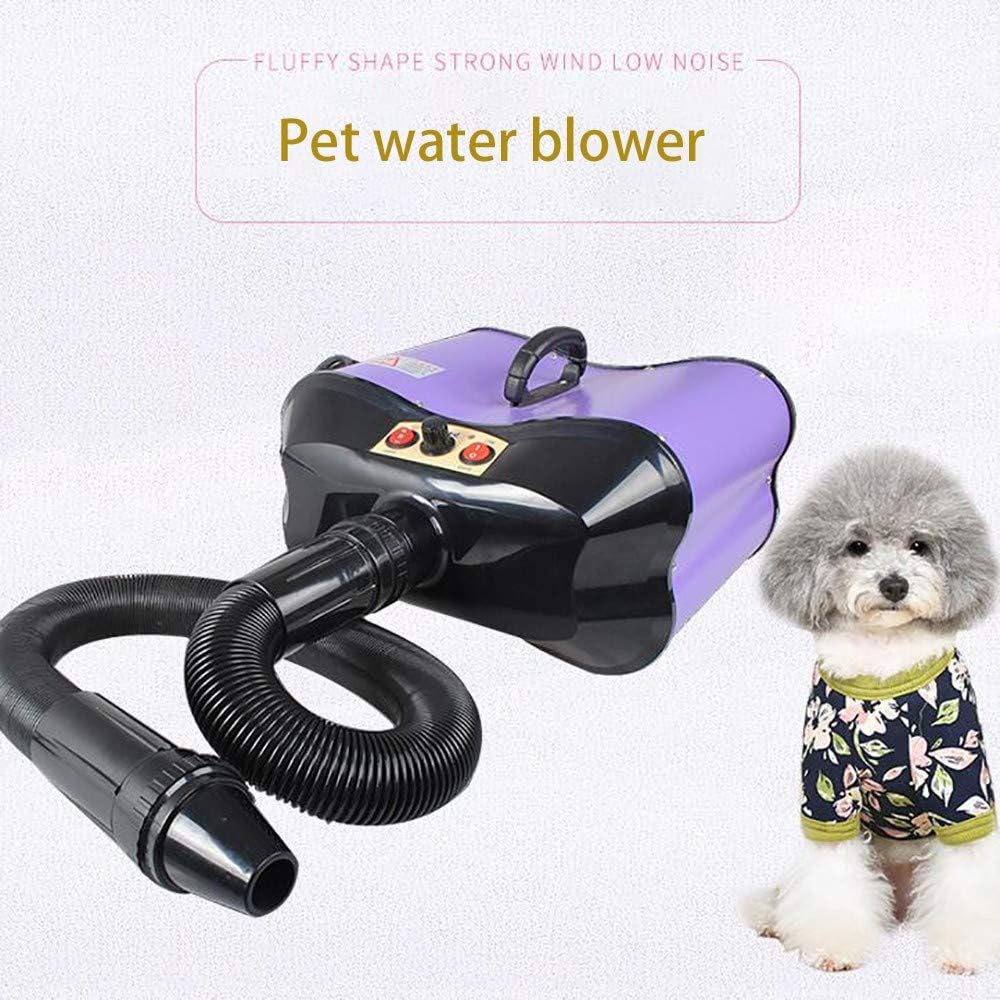 quiet dog blaster