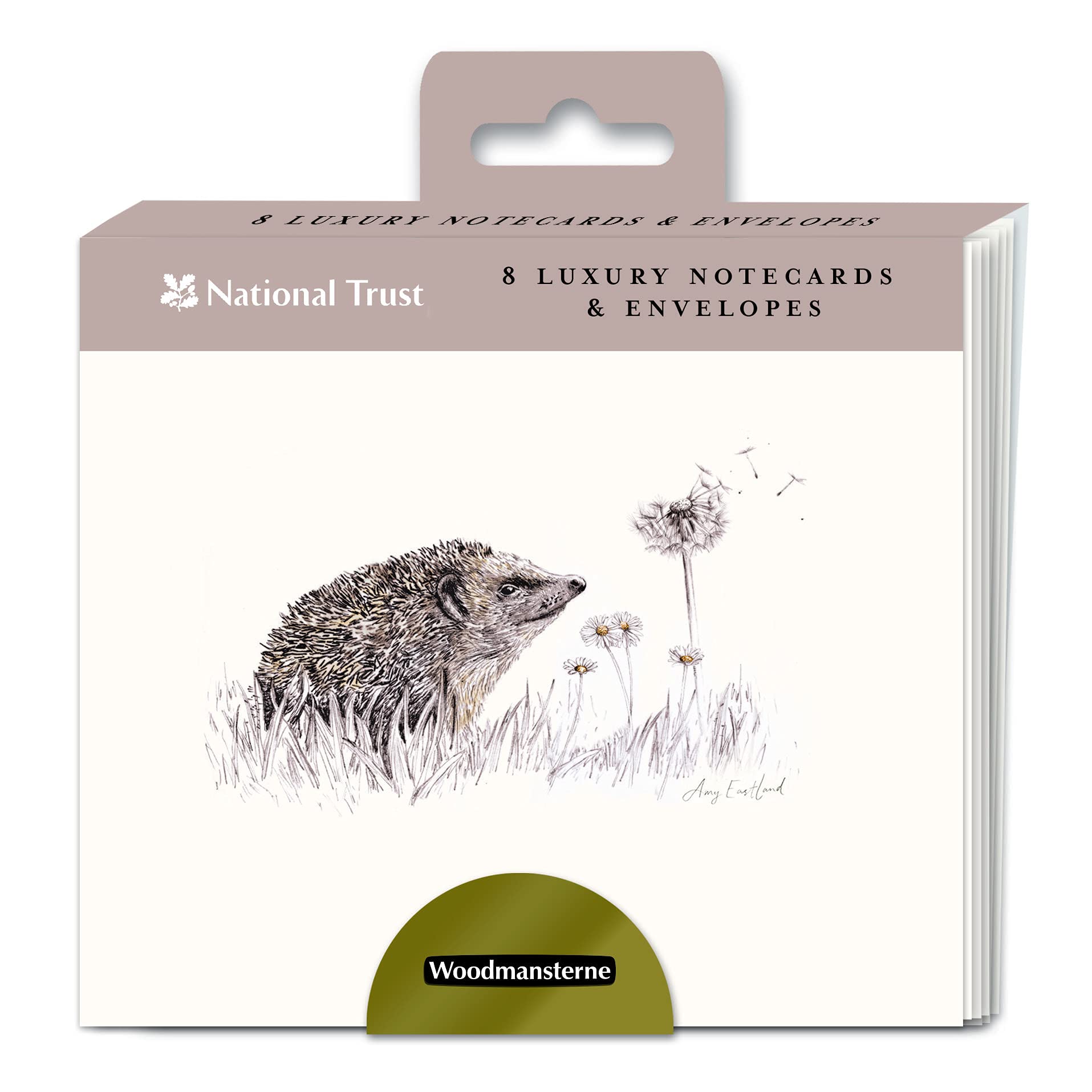 National Trust Hedgehog Note Card Wallet - 8 Garden Quest Notelets
