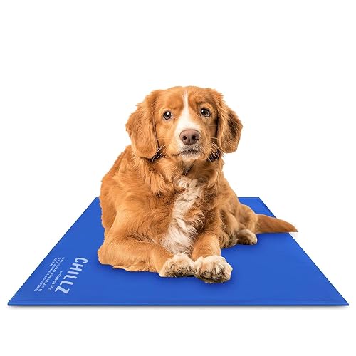 Chillz Pet Cooling Mat