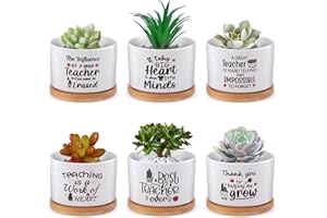 POTCHEN 6 Pcs Teacher Appreciation Gift Best Teacher Ever Gift Funny Cute Succulent Plant Pot with Bamboo Tray Ceramic Funny Planter Succulent Accessories for Teacher Graduation Birthday Gift (Grateful Style)