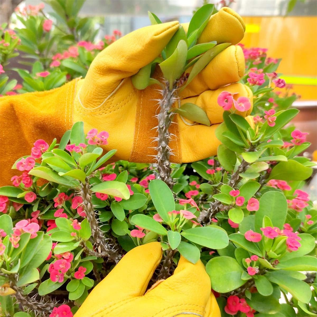 Long Gardening-Gloves Women/Men-Thorn proof Rose Pruning Heavy Duty Gauntlet-L: Home Improvement