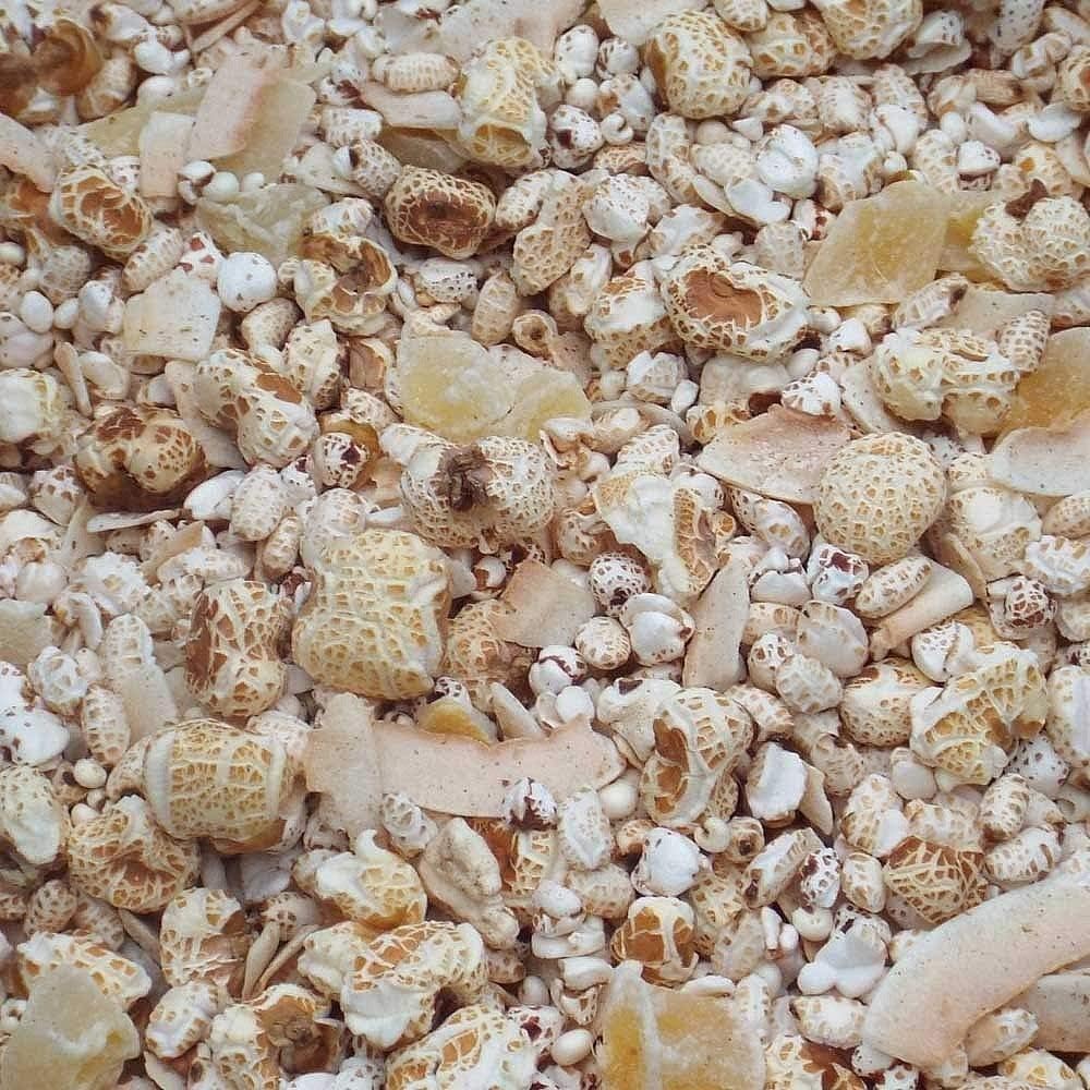 Tidymix Four Puffed Crunch Treat Mango & Coconut - 100g