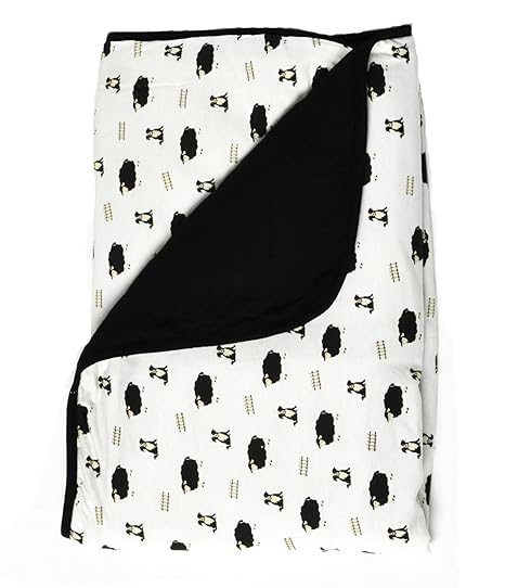 Amazon.com: Kyte BABY Baby Blankets - Made from Soft Organic Bamboo