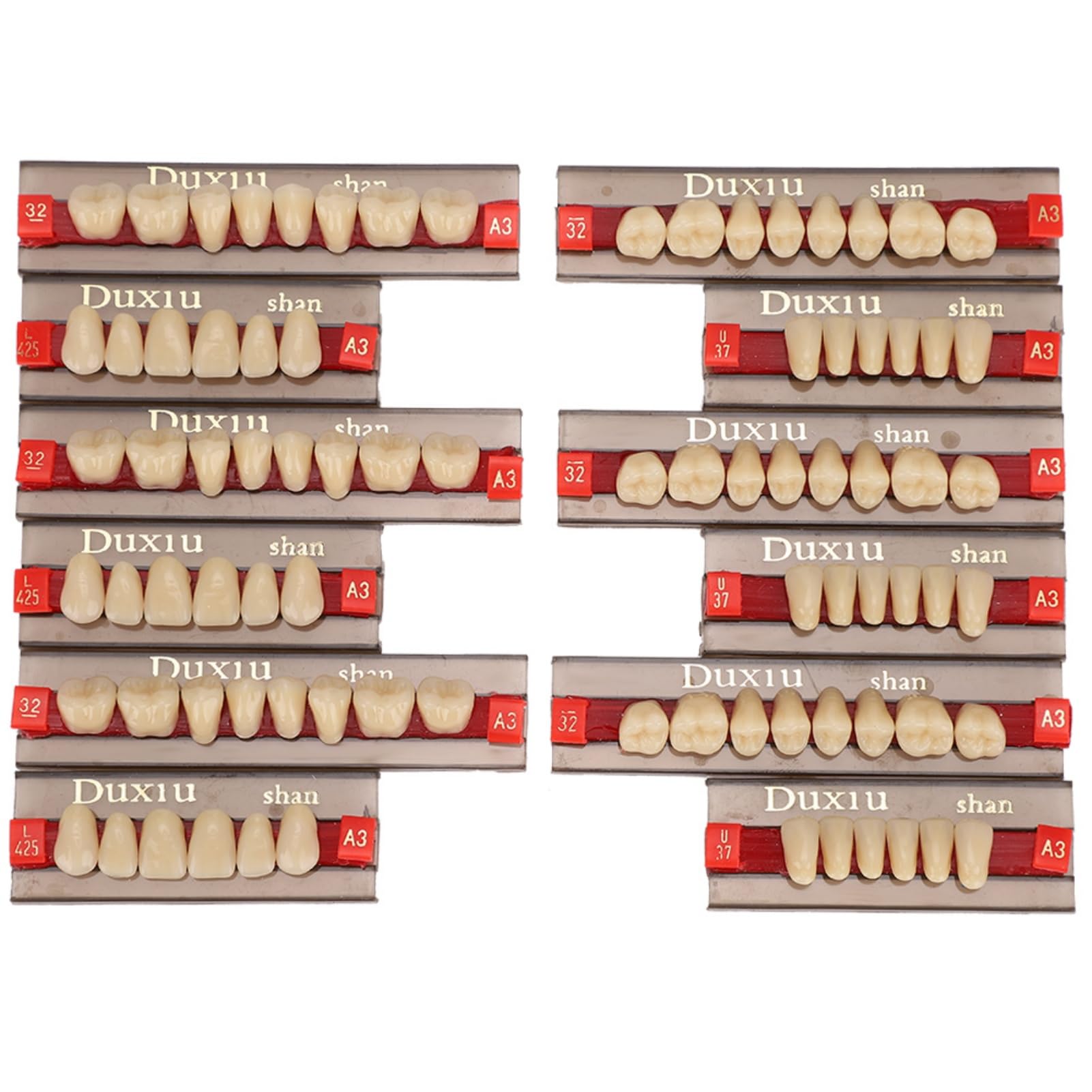 12pcs False Teeth Resin Denture Dental Material Synthetic Resin False Teeth for Replacement DIY Halloween Dentist Supplies