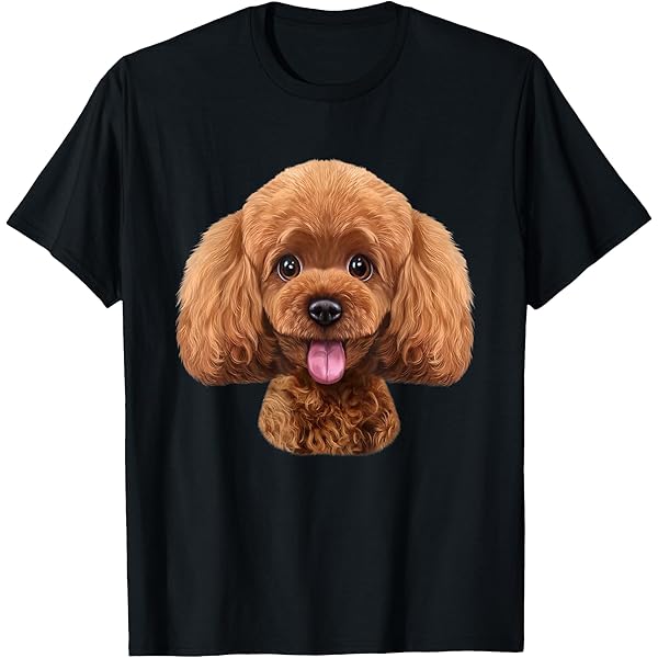 Amazon.com: Apricot Toy Poodle Dog Face T-Shirt : Clothing, Shoes