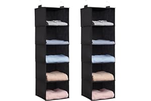 Lifewit Hanging Closet Organizer and Storage with 2 Sturdy Hooks, Rangement Garde Robe with Metal Hooks, Closet Shelf Hanging