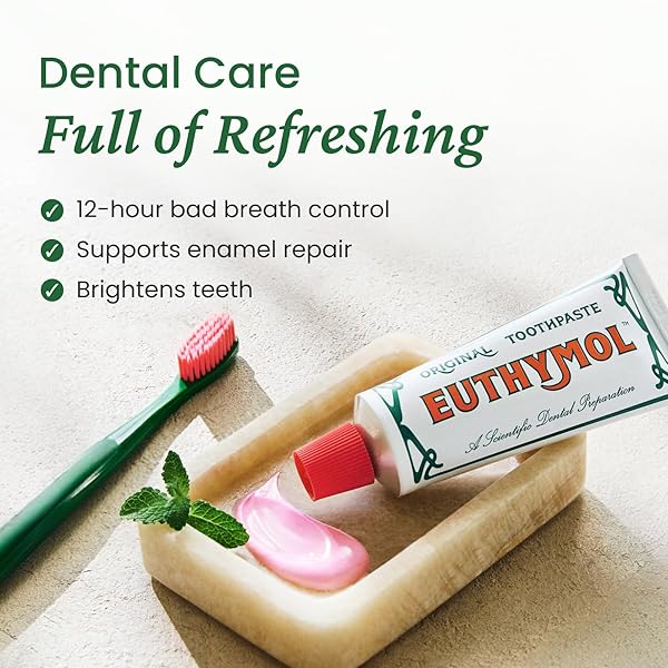 EUTHYMOL ORIGINAL PINK TOOTHPASTE (3.7FL OZ/PACK OF 1) – FLUORIDE-FREE TOOTHPASTE FOR SENSITIVE TEETH & GUM. BAD BREATH, CAVITY PREVENTION, 12-HOUR LONG LASTING FRESHNESS WITH WINTERGREEN