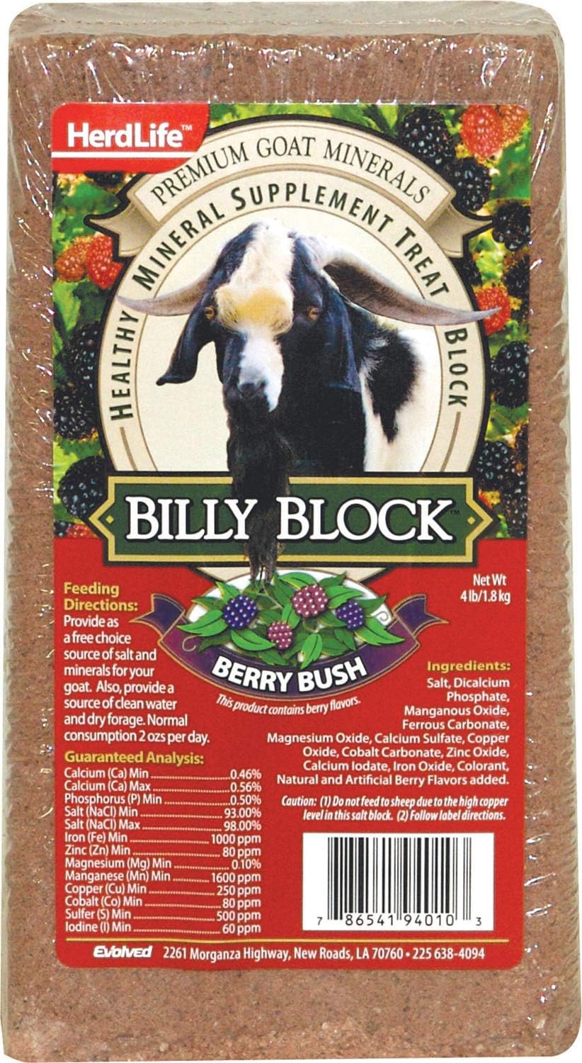 Salt Block Goat Billy Berry Part 94010 Amazon.ca Tools & Home