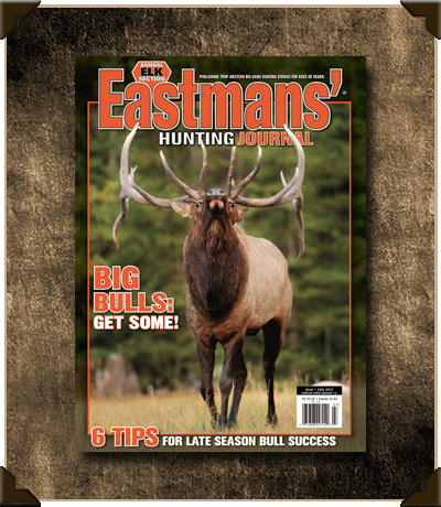 Eastmans Journal