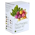 Plant Theatre Psychedelic Salad Kit - 5 Fantastic Salad Vegetables to Grow