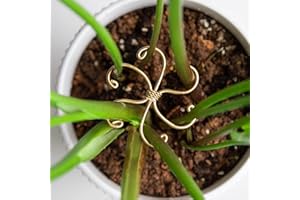 Goooxim 5Pcs Monstera Plant Stem Support Hook (2.75x2.75 inches) - Durable Metal Stem Support for Monstera & Fishbone Cactus, Easy Installation, Ideal Gift for Plant Lovers & Home Decor