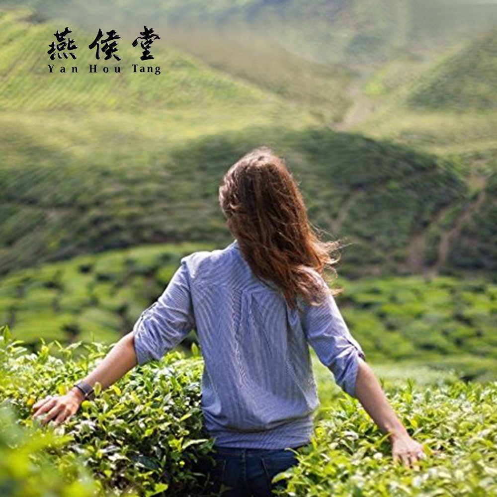 Yan Hou Tang - Taiwanese Oolong Tea Bags Dong Fang Mei Ren Oriental Beauty Premium Class Full Loose Leaf - 20 Counts Queen Victoria Naming Honey Flavor Sugar Free US FDA Verfied