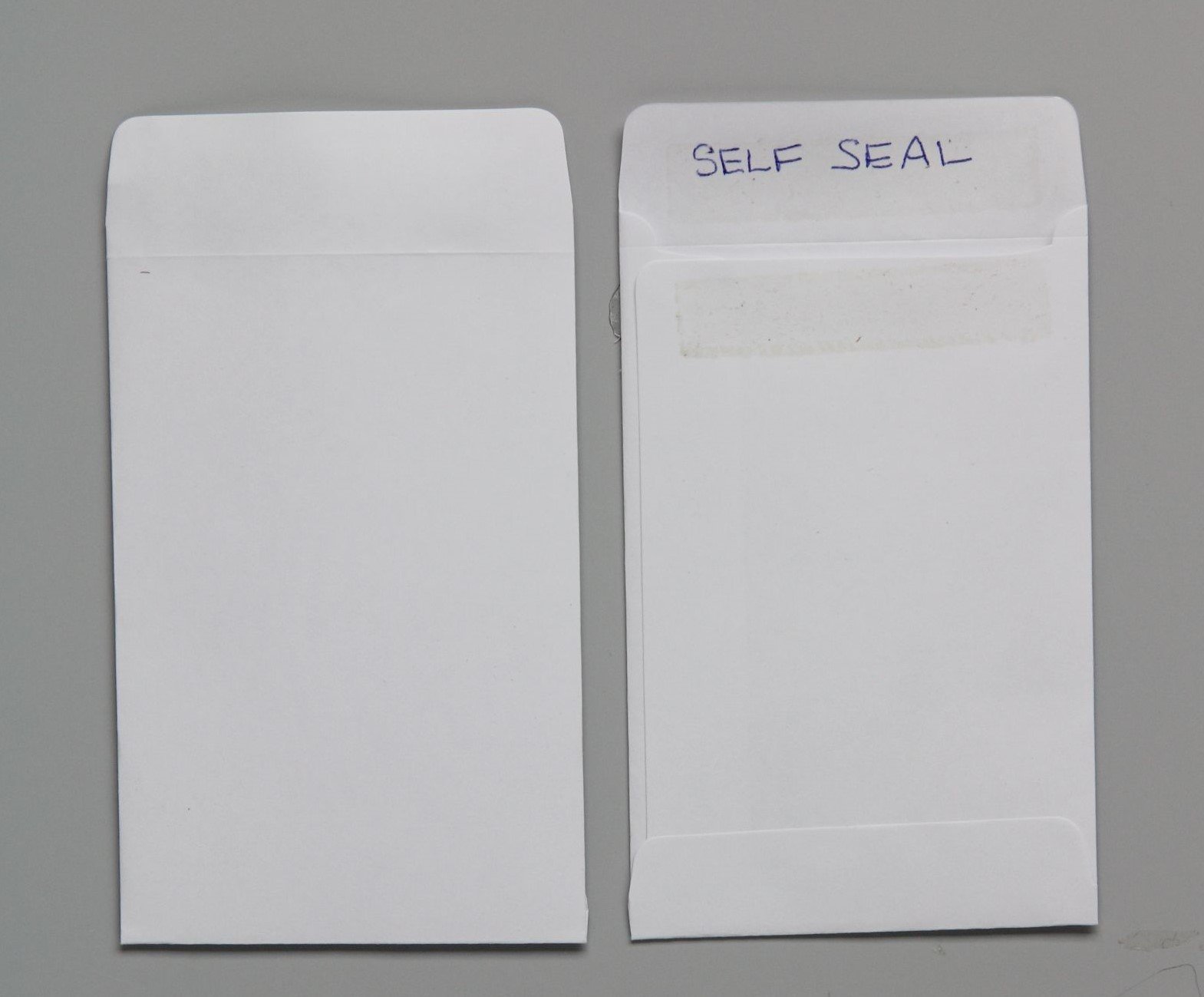 100 Blank Seed Envelopes (Self Sealing) White