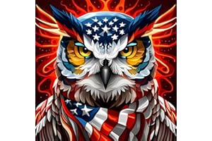 Meothan Patriotic Diamond Art Kit for Adults Independence Day Owl Diamond Painting Kits for Adult Beginners Full Drill Round 4th of July Diamond Art Painting Kits for Home Wall Decor 13.8x13.8in
