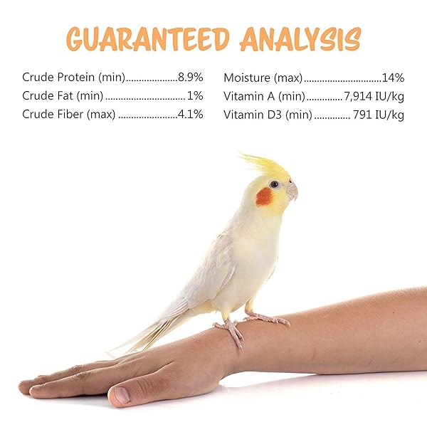 VITAKRAFT CRUNCH STICKS COCKATIEL TREAT – APPLE AND HONEY – PET BIRD TREAT TOY