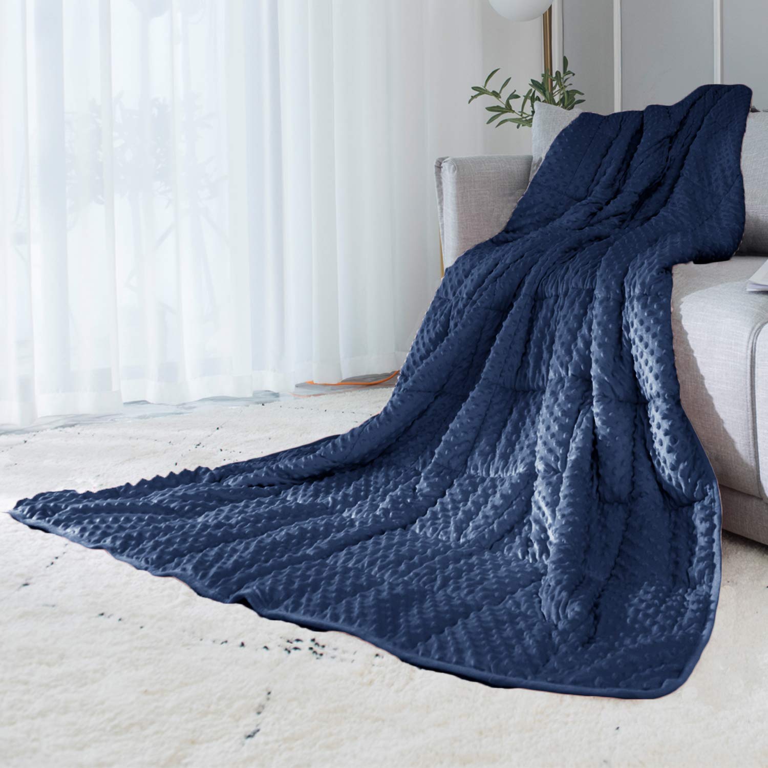 Photo 1 of ALANSMA Reversible Weighted Blanket for All Season, Luxury Velvet, Warm and Cool, Adult 5Lb Blue Weighted Blanket, Enjoy Sleeping Anywhere(Blue,35"x48" 5.5lbs)