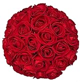 FagusHome 30 Pcs Silk Rose Artificial Flowers Roses Bulk Bouquet Fake Flowers Rose Heads with Stems for Home Wedding Decor (Red)