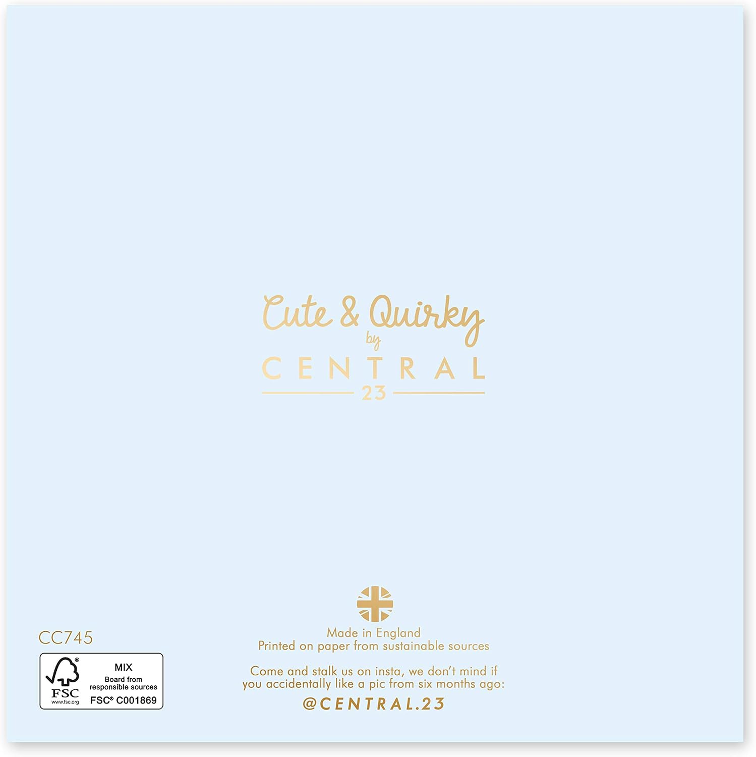 Central 23, Pretty Birthday Card for Female, Cute Design for Friends, Happy Birthday for Female, Colourful Birthday Card - Image 4