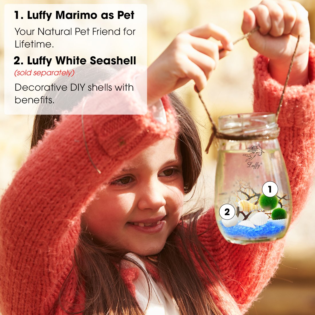 Luffy Pet Plant for All Ages -- 6 Nano Moss Balls - Friendly, Compact & Low Maintenance Aquatic Pet - Lifelong Friend - Ideal for children or adults with busy schedule or little space