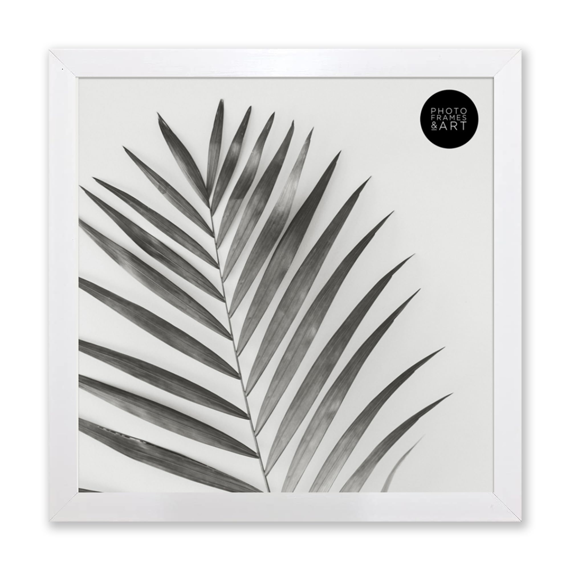 pf+a REAL GLASS 10x10 White Picture Frame - 10x10 / 25x25cm Square White Photo Frame / 10x10 inch Frame