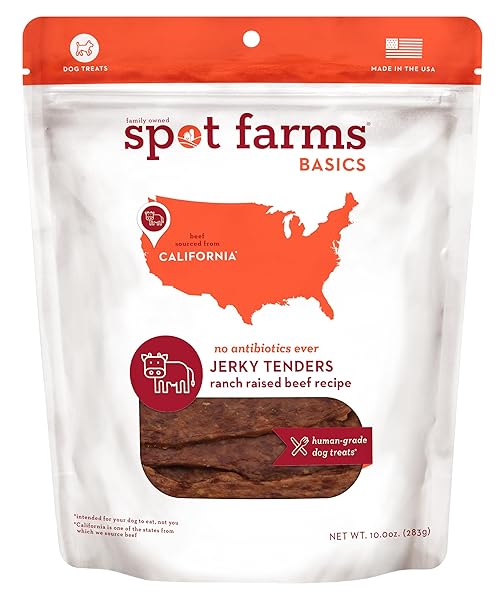 SPOT FARMS BASIC BEEF TENDERS 10.0 OZ