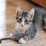 Fuyamp 2 Packs Door Hanging Cat Toy Interactive Mice Chasing Exercise view 8