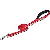 Terrain D.O.G. Reflective Neoprene Lined Dog Leash, Red, 6-feet L x 1-inch W
