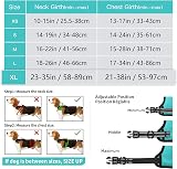 HEELE Dog Harness Padded Handle Reflective 2 Rings Turquoise XL view 2