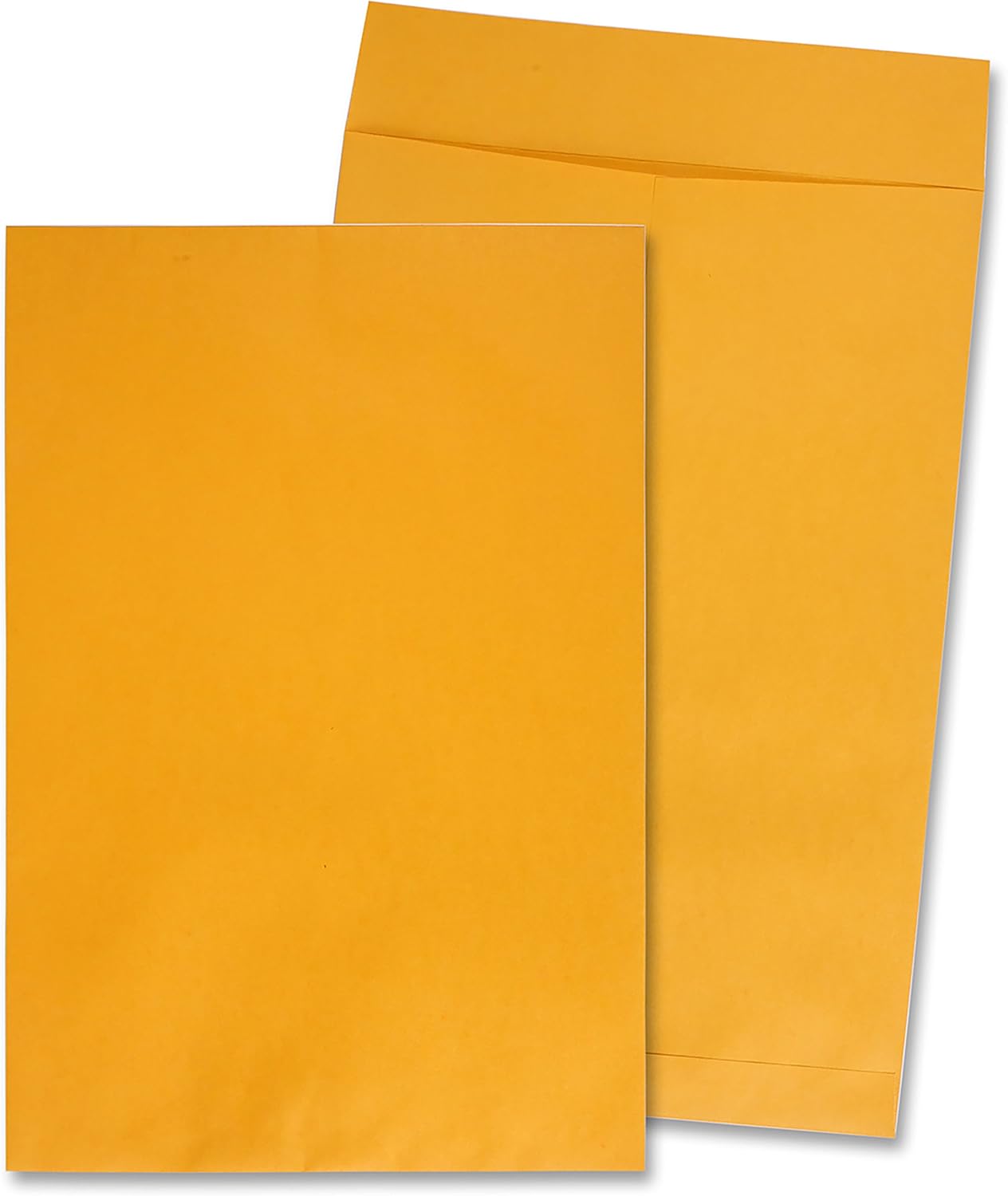 Quality Park Jumbo Kraft Envelopes, 12-1/2 x 18-1/2, Ungummed Catalog Envelopes for Storing and Organizing, 28 lb Kraft Paper, 25 per Box (QUA42353), Light Brown : Large Format Envelopes : Office Products