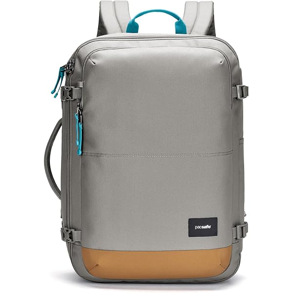 Amazon.com | Pacsafe GO Anti Theft 34L Carry-on Backpack | Luggage